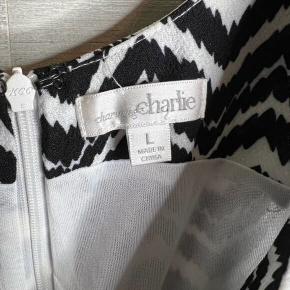 Charming Charlie Dress - Picture 4 of 6